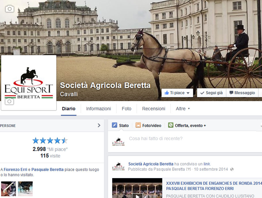Segui le notizie sulla vendita e allevamento cavalli su Facebook